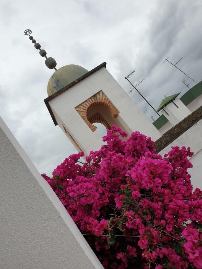 Entre 2 Mezquitas Apartamento 8 Κόρδοβα Εξωτερικό φωτογραφία